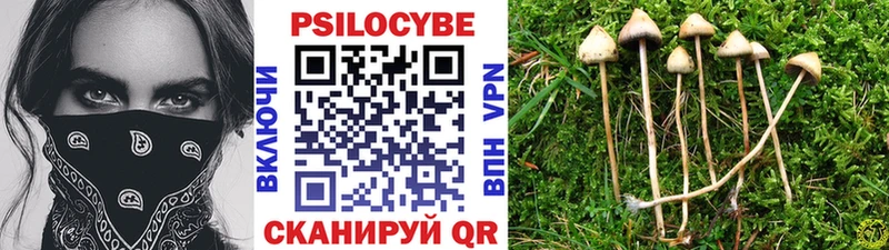 Псилоцибиновые грибы мухоморы  Аксай 